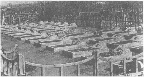 Братские могилы воинов в Троицке
